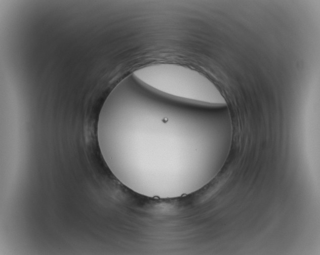 X0000114490236200910191123
