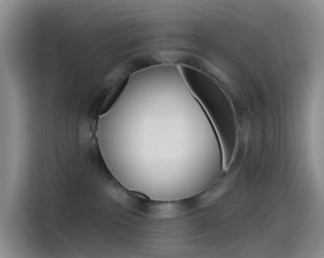 X0000114490237200910191123