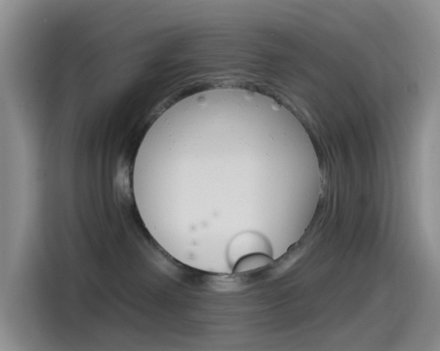 X0000114490238200910191123