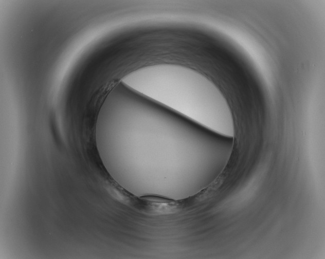 X0000114490239200910191123