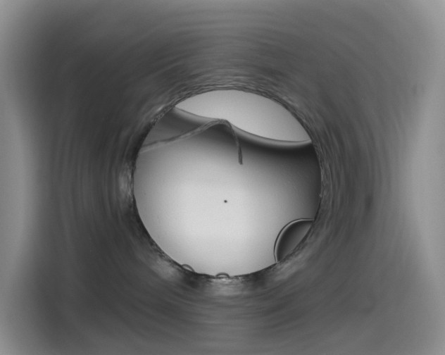 X0000114490240200910191123