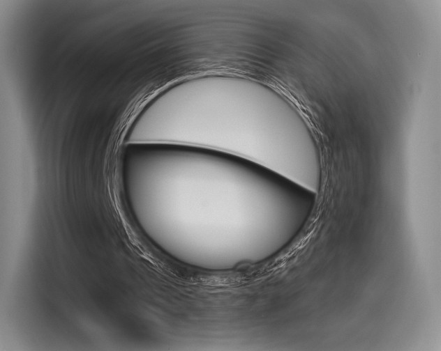 X0000114490241200910191122