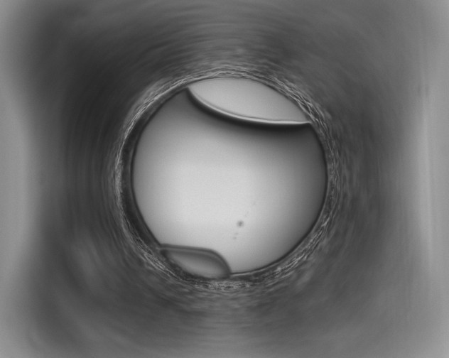 X0000114490242200910191122