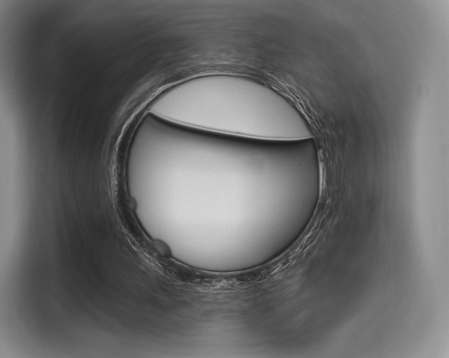 X0000114490243200910191122