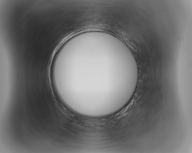 X0000114490244200910191122