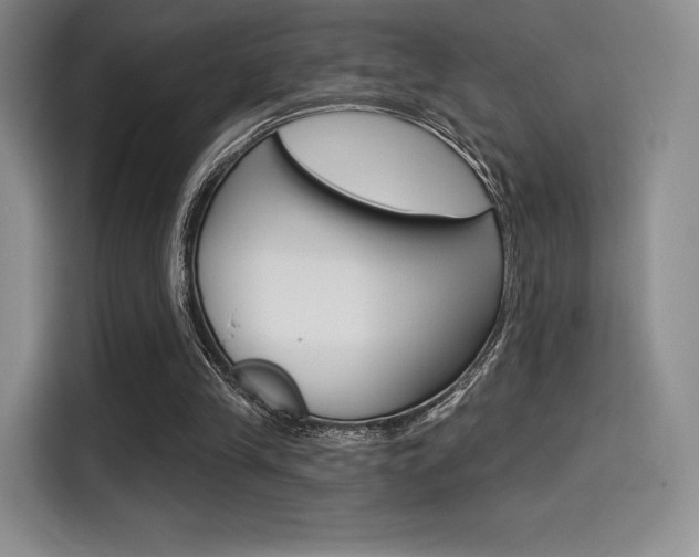 X0000114490245200910191122