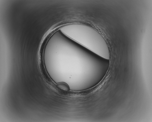 X0000114490246200910191122