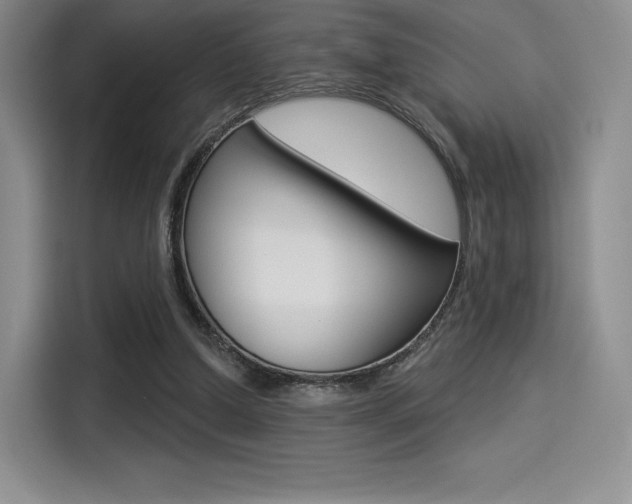 X0000114490250200910191122