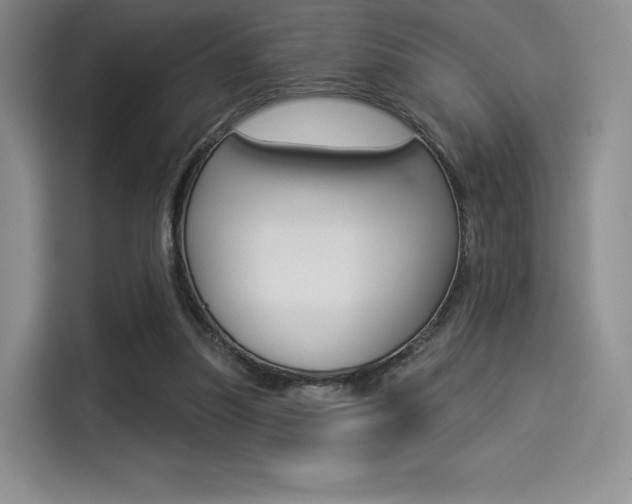 X0000114490251200910191122