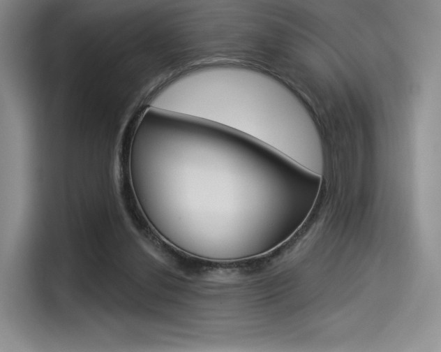 X0000114490252200910191122