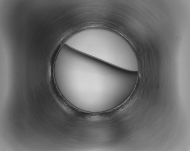 X0000114490253200910191122