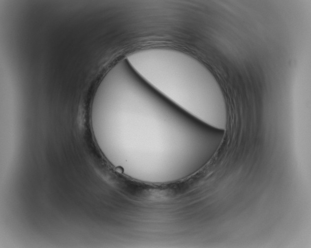 X0000114490255200910191122