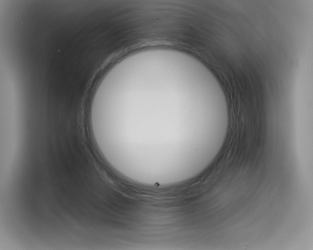 X0000114490256200910191122