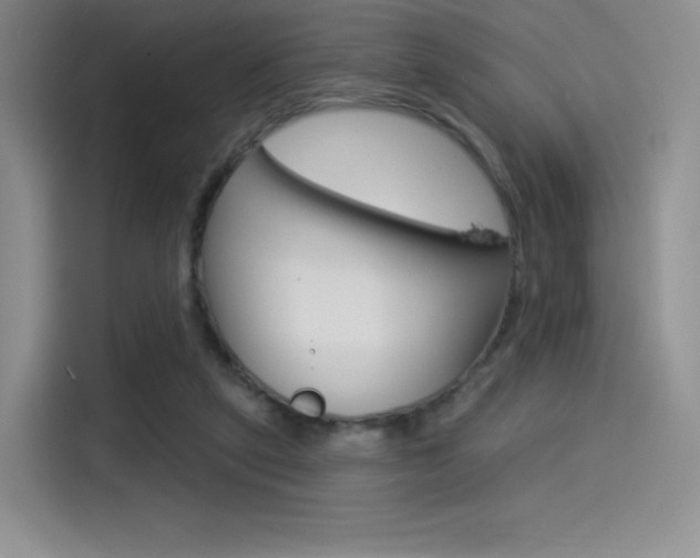 X0000114490257200910191122