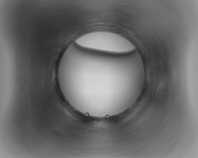 X0000114490259200910191122