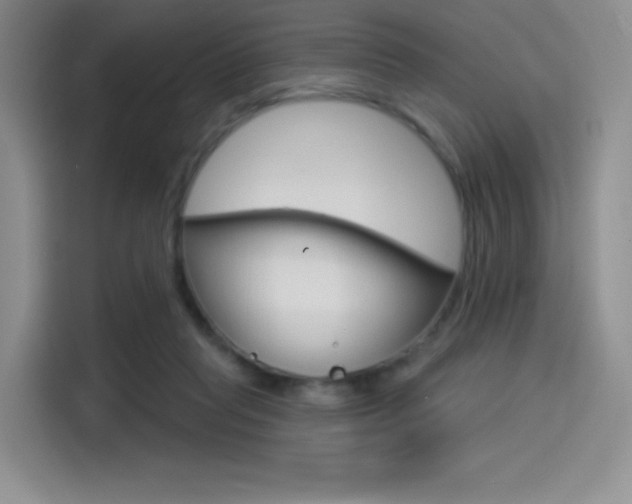 X0000114490261200910191122