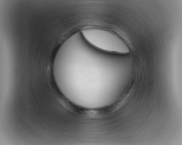 X0000114490265200910191122