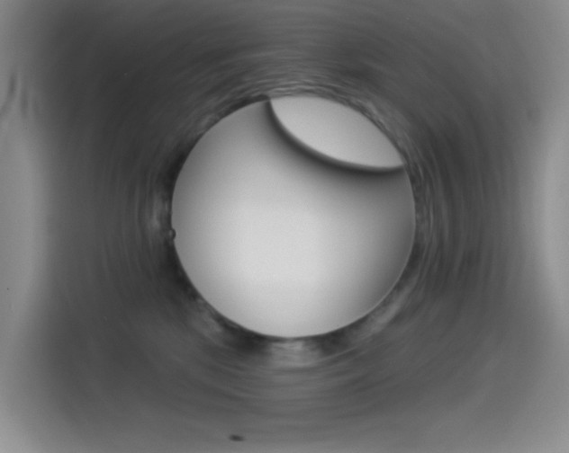 X0000114490281200910191122
