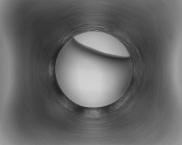 X0000114490282200910191123