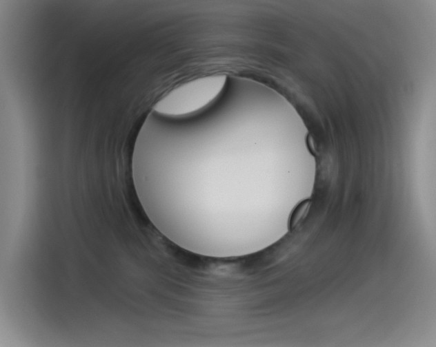 X0000114490283200910191123