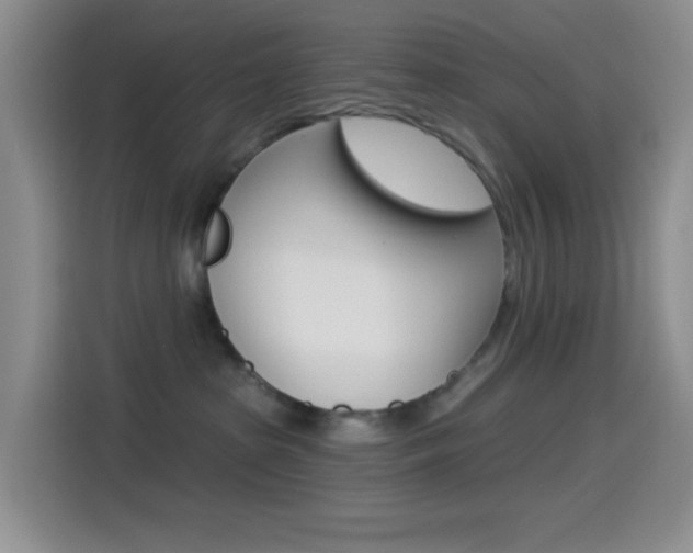 X0000114490285200910191123