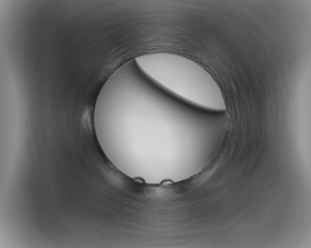 X0000114490286200910191123