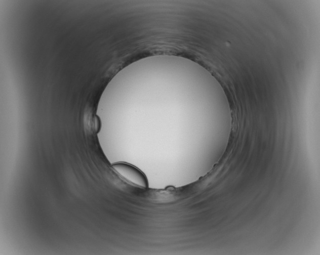 X0000114490287200910191123