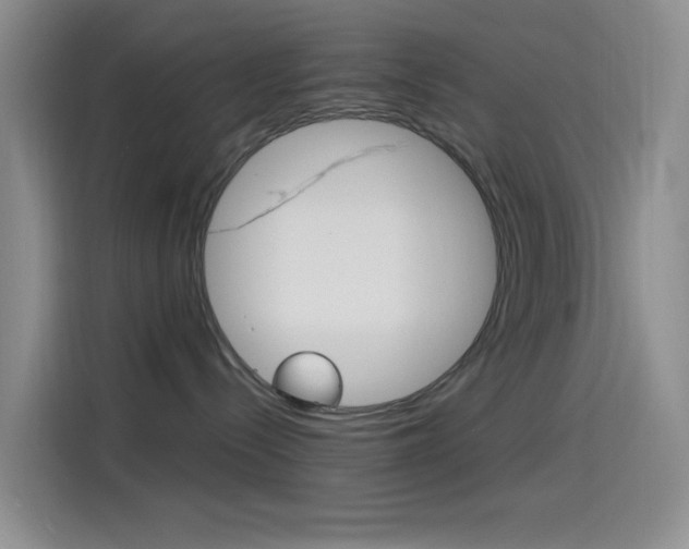 X0000114490288200910191123