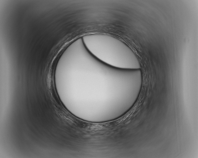 X0000114490290200910191122
