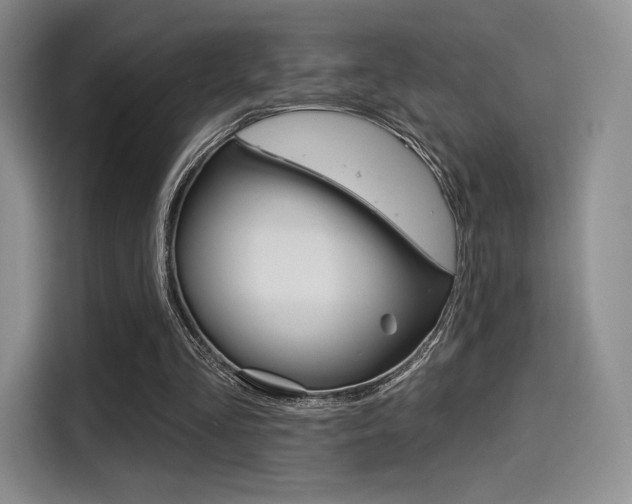 X0000114490293200910191122