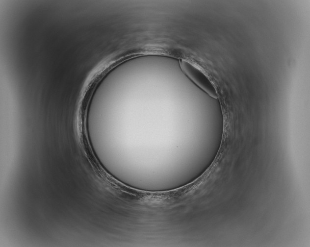 X0000114490294200910191122