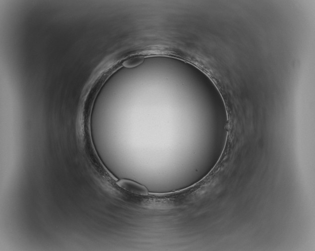 X0000114490296200910191122