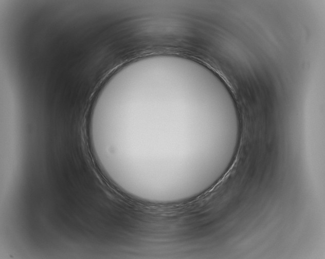 X0000114490297200910191122