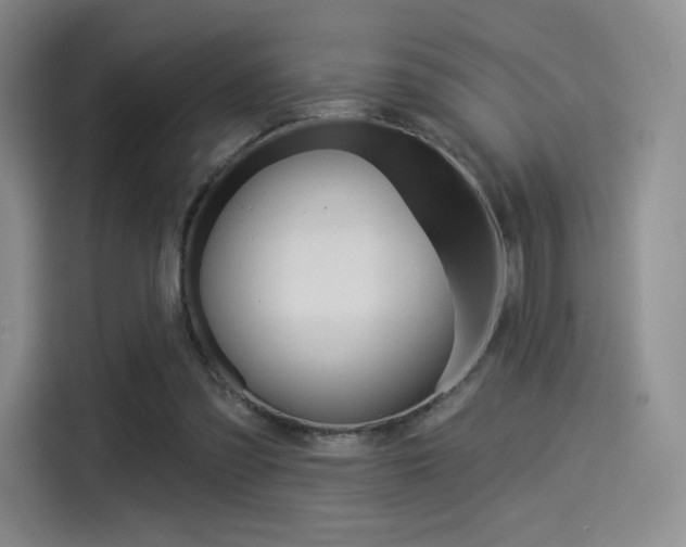X0000114490301200910191122