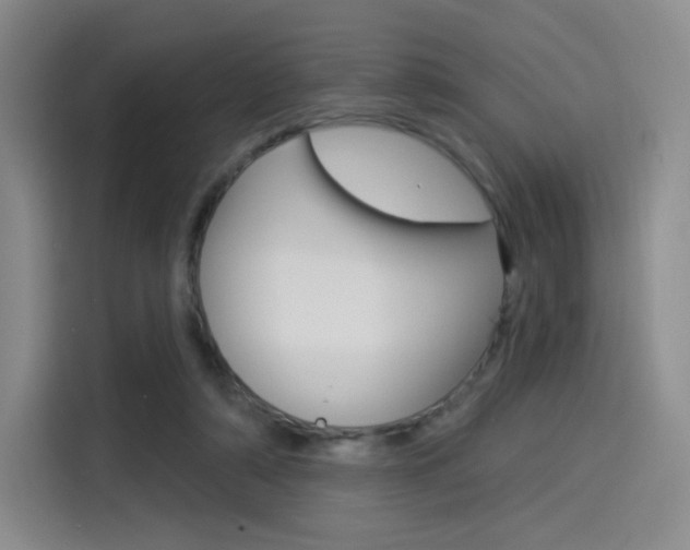 X0000114490306200910191122