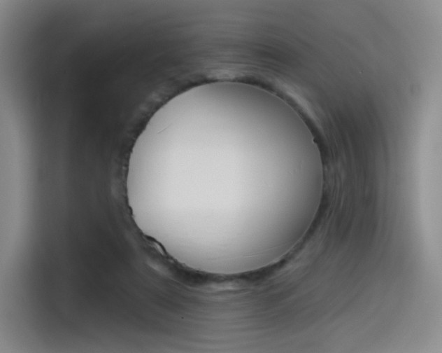 X0000114490307200910191122