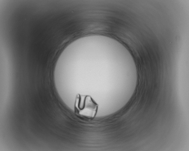 X0000114490308200910191122