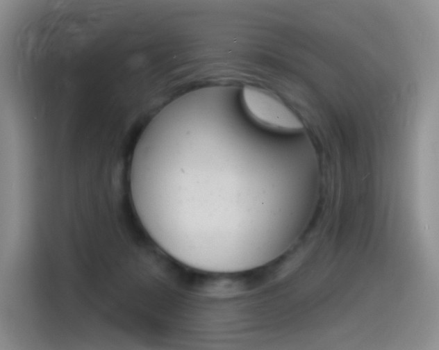 X0000114490319200910191122