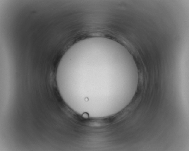X0000114490322200910191122