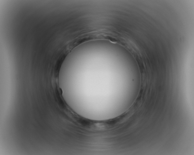 X0000114490324200910191122