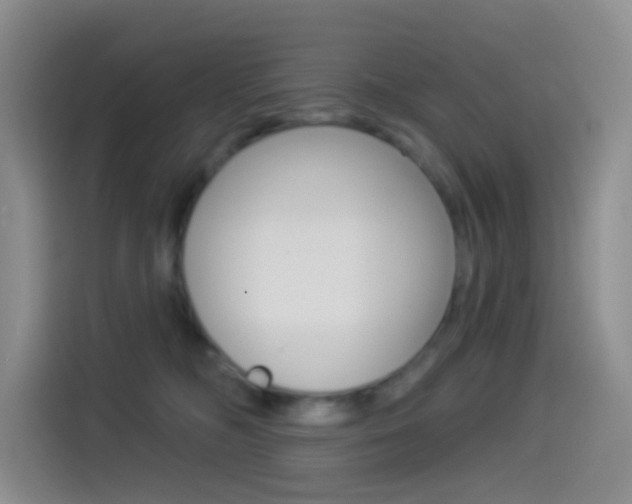 X0000114490326200910191121
