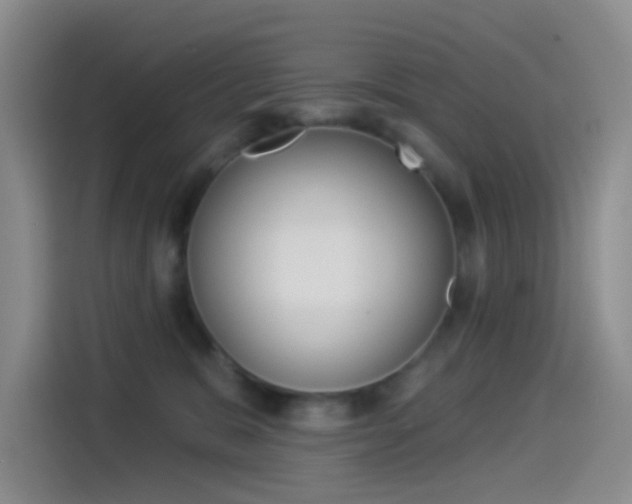 X0000114490327200910191121