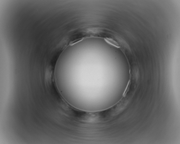 X0000114490328200910191121