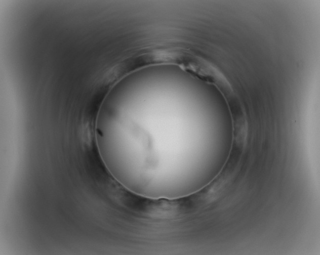 X0000114490329200910191121