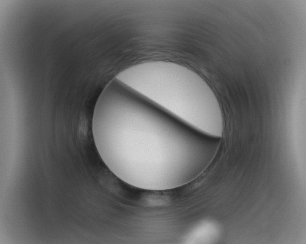X0000114490331200910191121