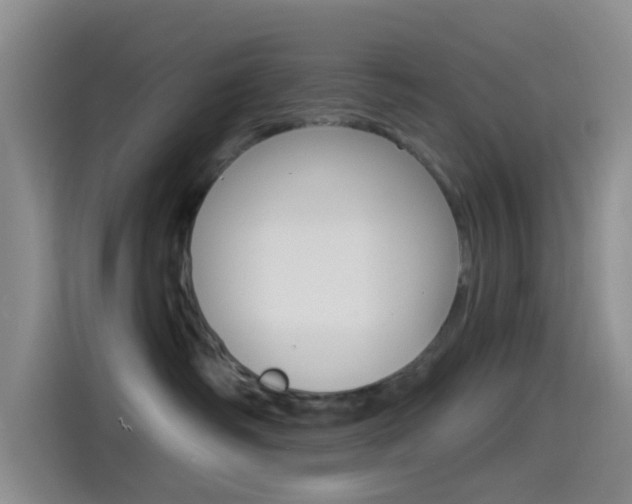 X0000114490334200910191121