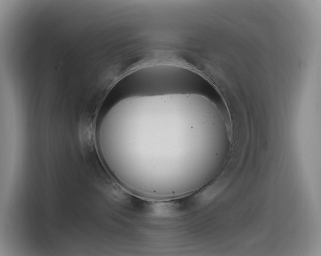 X0000114490336200910191121