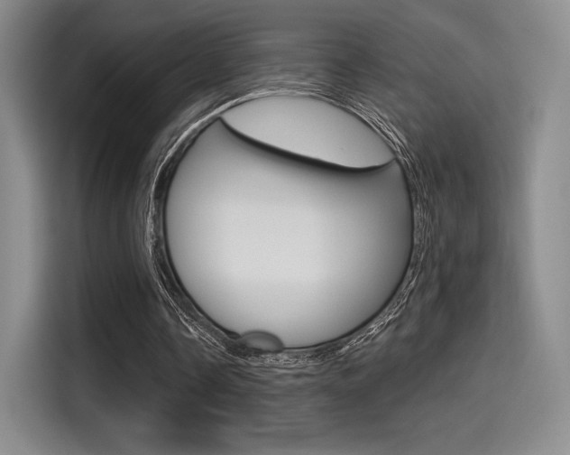 X0000114490338200910191121