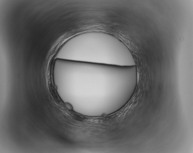 X0000114490339200910191121