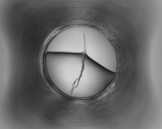 X0000114490341200910191121